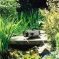 Preview: AquaMax Eco Expert 20000 / 12V Filterpumpe
